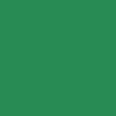 Краска Swiss Lake цвет Green Gloss SL-2512 л Краска Swiss Lake цвет Green Gloss SL-2512 л