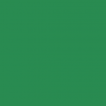 Краска Swiss Lake цвет Green Gloss SL-2512 л Краска Swiss Lake цвет Green Gloss SL-2512 л