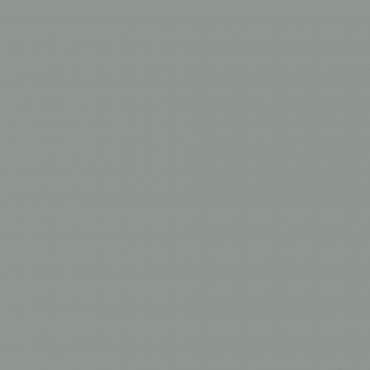 Краска Swiss Lake цвет Green Pearl NC26-0498 л