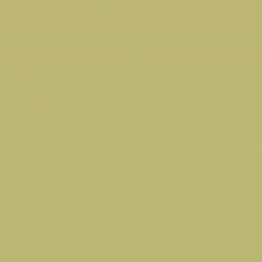 Краска Swiss Lake цвет Green Tea SL-2534 л