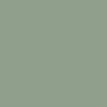 Краска Swiss Lake цвет Green Zircon NC36-0793 л