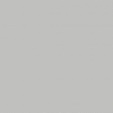 Краска Swiss Lake цвет Grey SL-2876 л Краска Swiss Lake цвет Grey SL-2876 л