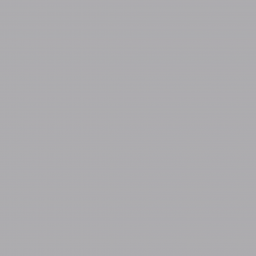 Краска Swiss Lake цвет Lilac Silver NC42-0963 л Краска Swiss Lake цвет Lilac Silver NC42-0963 л