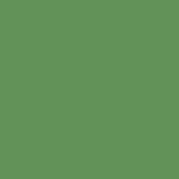 Краска Swiss Lake цвет Magnolia Green SL-2503 л Краска Swiss Lake цвет Magnolia Green SL-2503 л