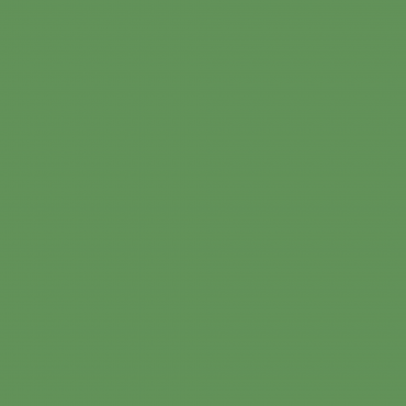Краска Swiss Lake цвет Magnolia Green SL-2503 л Краска Swiss Lake цвет Magnolia Green SL-2503 л