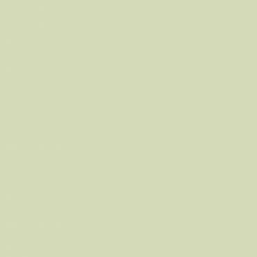 Краска Swiss Lake цвет Minty Fresh NC37-0820 л
