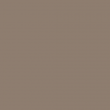 Краска Swiss Lake цвет Mocca NC23-0401 л