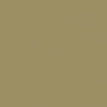 Краска Swiss Lake цвет Olive yellow 1020 л