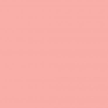 Краска Swiss Lake цвет Pale Coral SL-1320 л Краска Swiss Lake цвет Pale Coral SL-1320 л