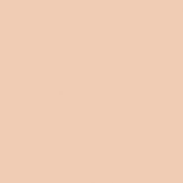 Краска Swiss Lake цвет Peach Nimb SL-1158 л