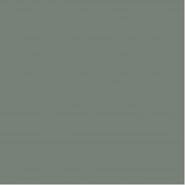 Краска Swiss Lake цвет Pounamu SL-3029 л Краска Swiss Lake цвет Pounamu SL-3029 л