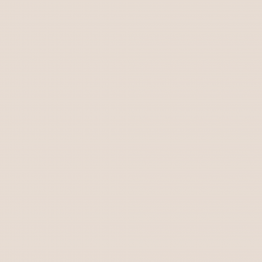 Краска Swiss Lake цвет Practical Beige SL-0369 л