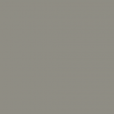 Краска Swiss Lake цвет Rare Gray SL-2867 л