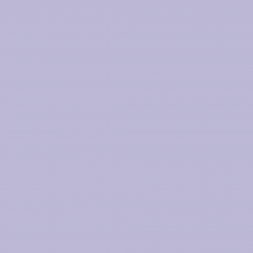 Краска Swiss Lake цвет Silver Chalice SL-1879 л Краска Swiss Lake цвет Silver Chalice SL-1879 л