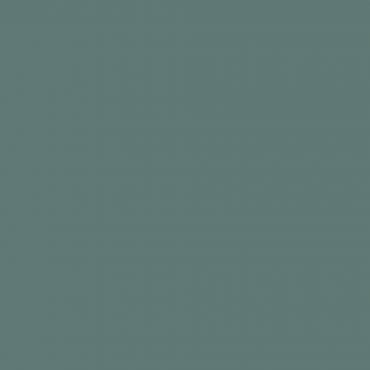 Краска Swiss Lake цвет Spirulina NC36-0809 л