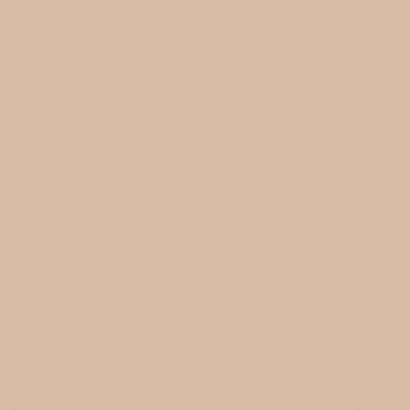 Краска Swiss Lake цвет Summer Tan NC18-0269 л
