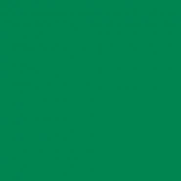 Краска Swiss Lake цвет Traffic green 6024 л Краска Swiss Lake цвет Traffic green 6024 л